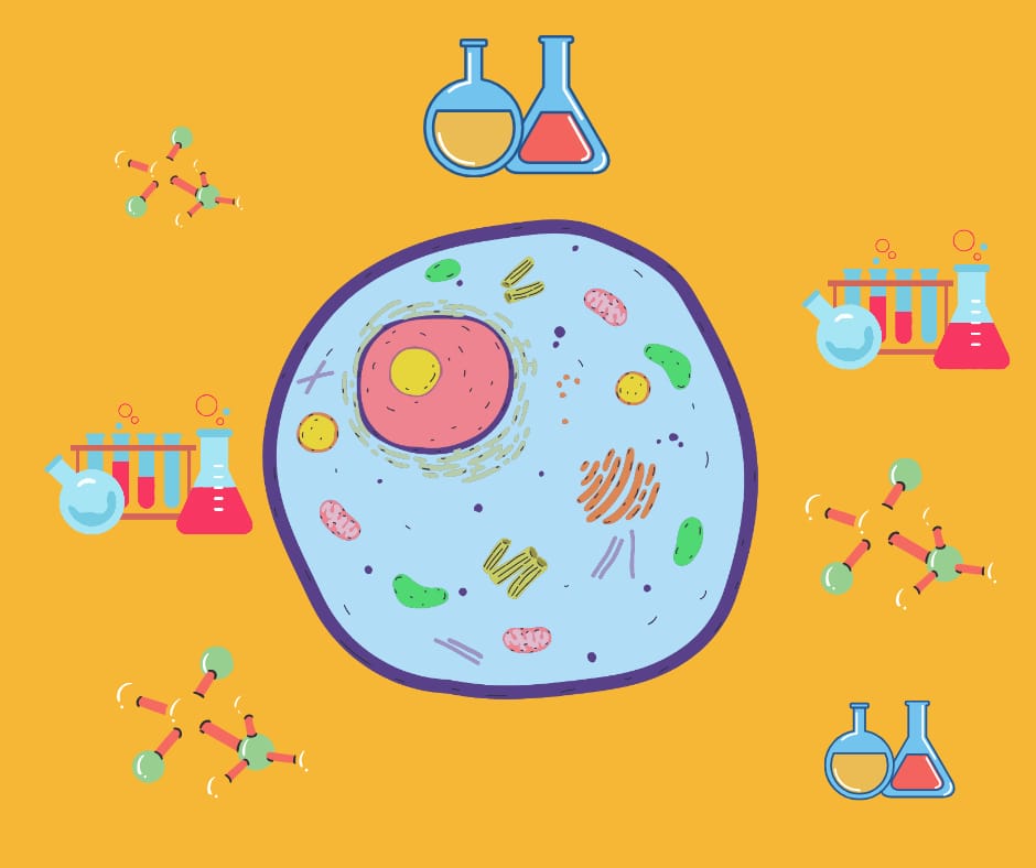 Chemistry and biology