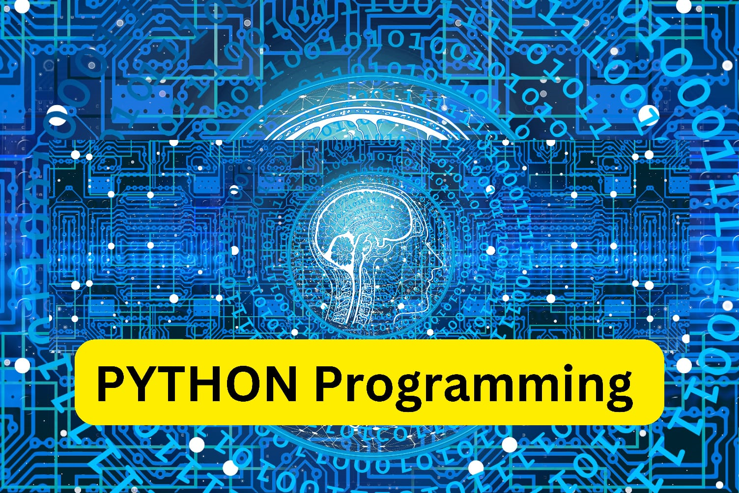 Online computer science tuition for class 12 on Python programming