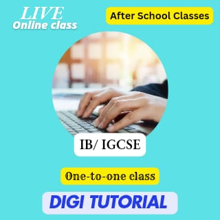 Online computer tuition for class for IB and IGCSE students