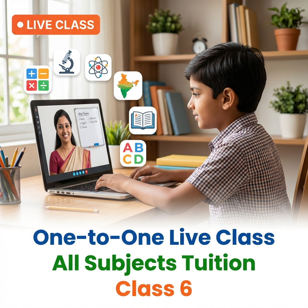 One to one all subjects' tuition for class 6