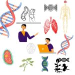 Online Biology classes for class 9